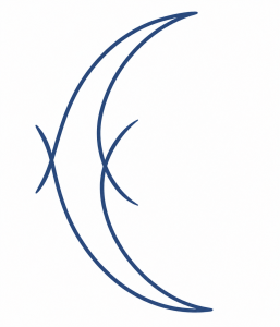 ArtMotif 8