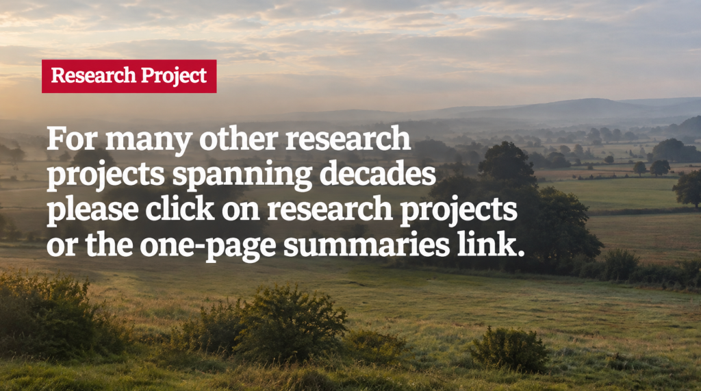 Research projects